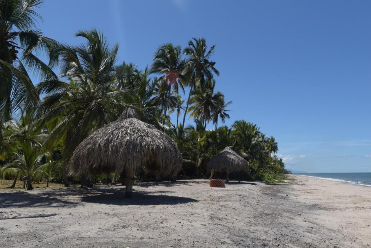 Uuttaaka Eco-Hotel Palomino Exterior photo