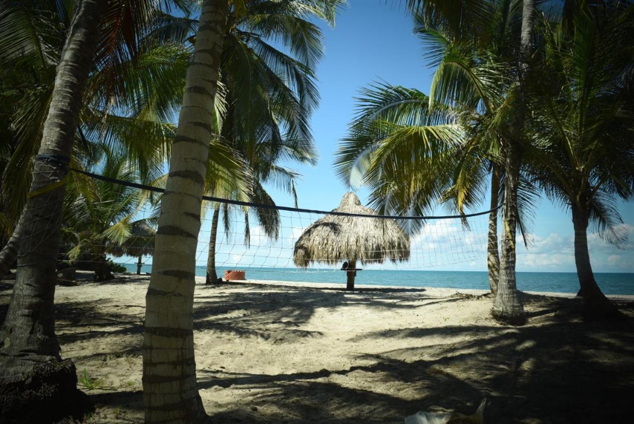 Uuttaaka Eco-Hotel Palomino Exterior photo